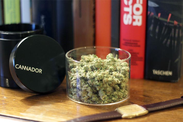 Properties Of Good Weed Containers – Cannador®