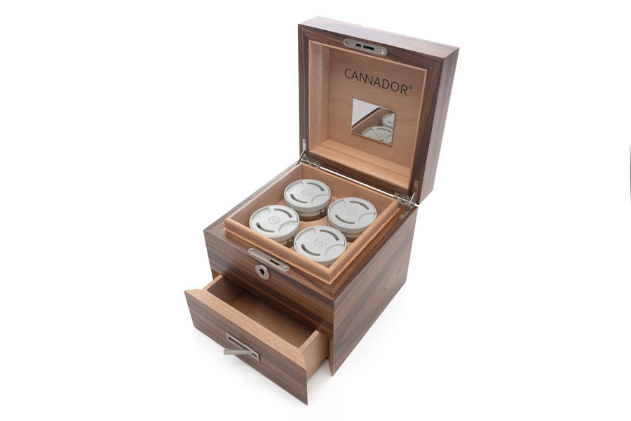 limited edition 4-strain cannador humidor