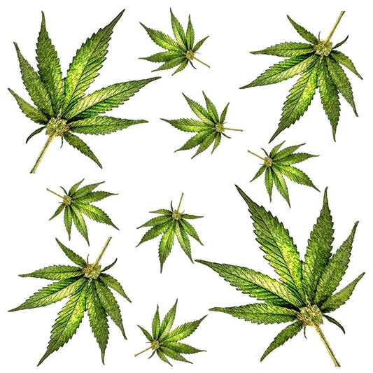 Cannabis Leaf Gift Wrap