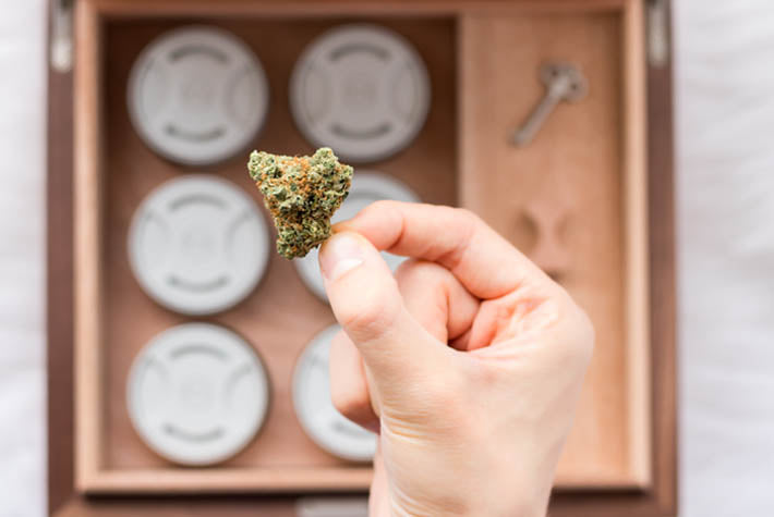The Benefits of Buying Organic Cannabis Flower