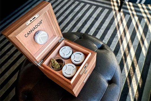 How to Buy Your First Cannabis Humidor