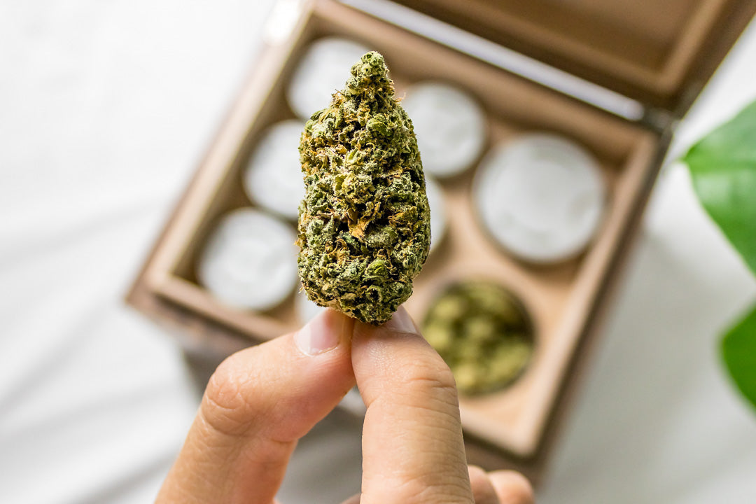 How to Store Weed: Best Practices for Long-Term Freshness and Potency