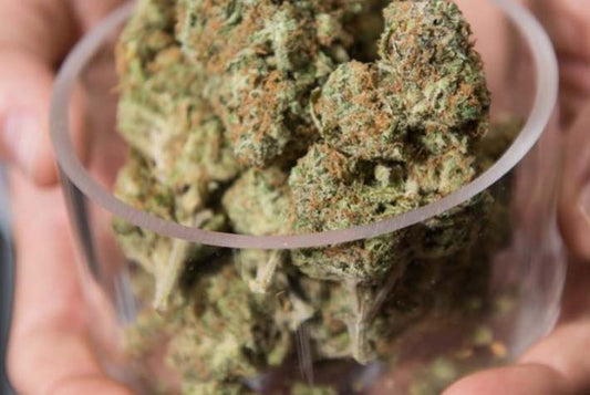 5 Things That Happen to Your Body When You Smoke Cannabis