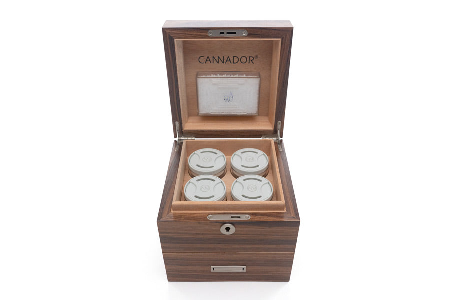 limited edition 4-strain cannador cannabis humidor