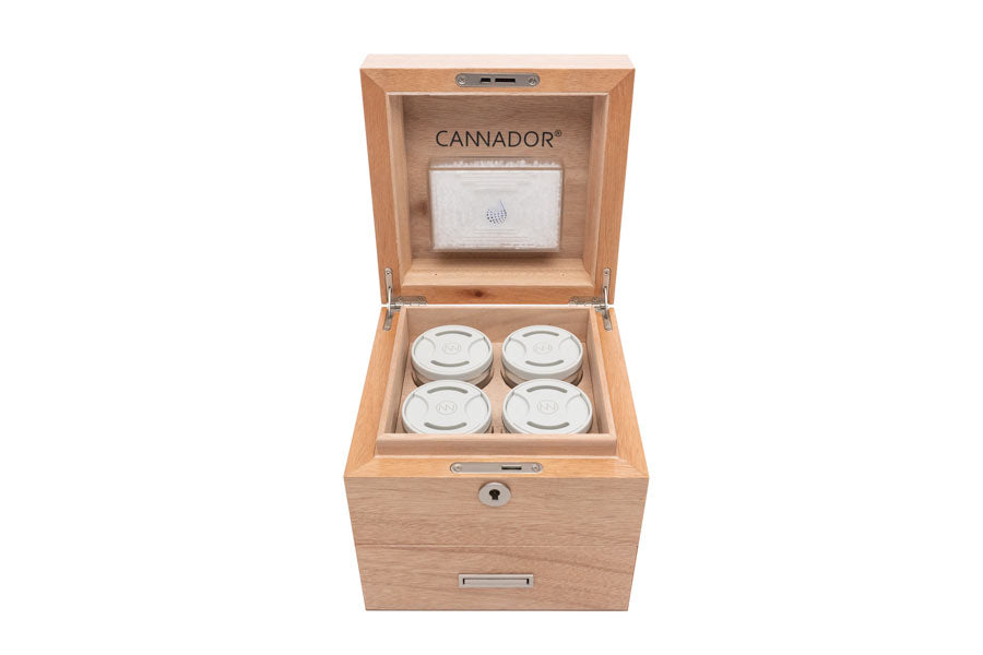 4-strain with drawer cannador weed humidor