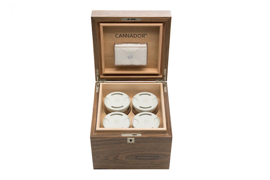 4-strain qp cannador humidor