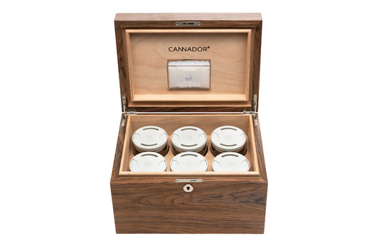 6-strain cannador cannabis humidor