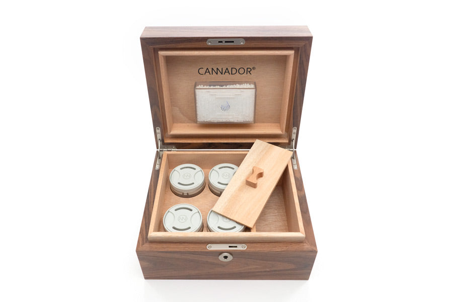 Cannabis humidor box